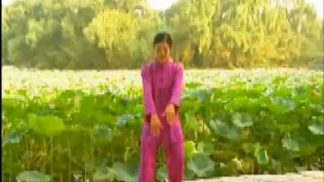 Qigong ( Five Animals ) смотреть онлайн