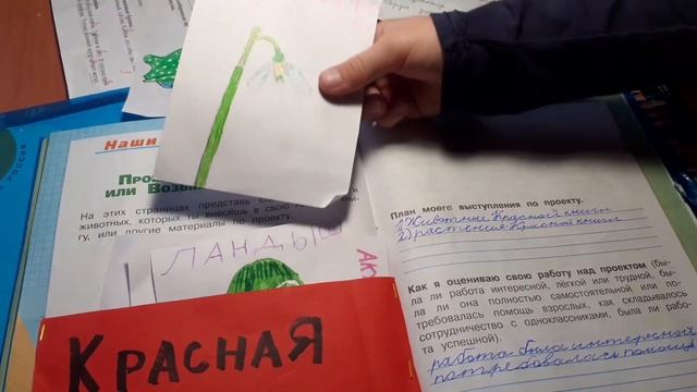 Окружающий мир 2 класс. Проект Красная книга или возьмем под защиту.