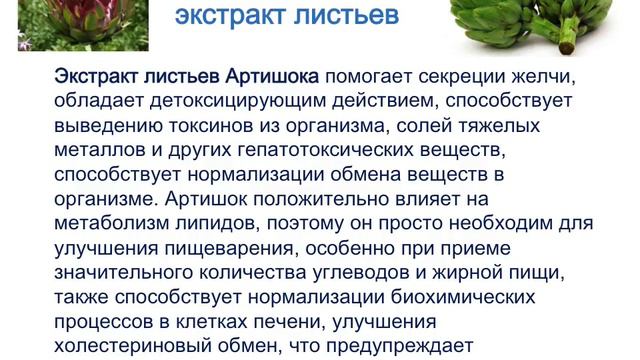 ГепаИнт - Поддержка Органов Пищеварения