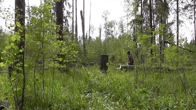 СОЛОНЕЦ ДЛЯ ЛОСЯ. Как я делал свой первый солонец. смотреть онлайн