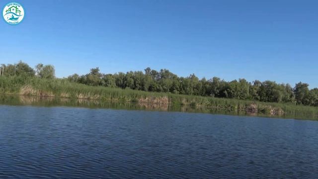 База отдыха "Берег мечты" в Подгорном Энгельсский район смотреть онлайн