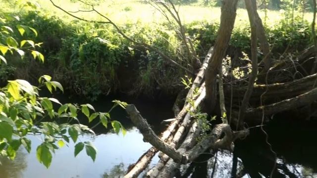 Медитация. Звуки Птиц и Воды. Весна. Май (Relax. Nature Sounds) смотреть онлайн
