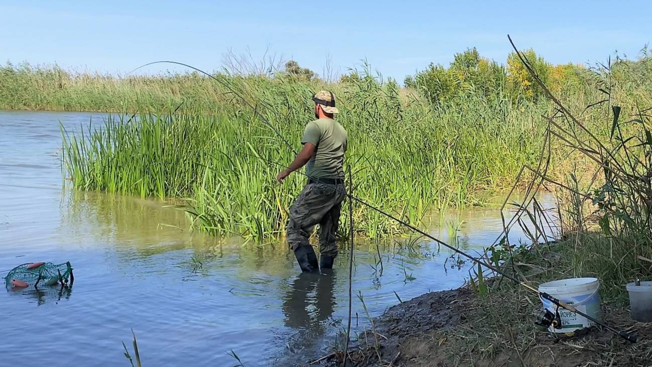 РЫБАЛКА НА ДОНКУ И ПОПЛАВОК В АСТРАХАНИ. ГУСТЕРА, КРАСНОПЁРКА, КАРАСЬ. Это идеальное место. смотреть онлайн