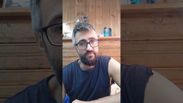Два стиха художника Самсонова смотреть онлайн