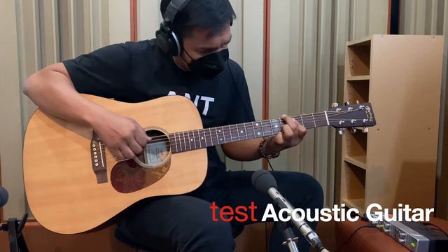 Martin DM  Mahogany / USA 2001