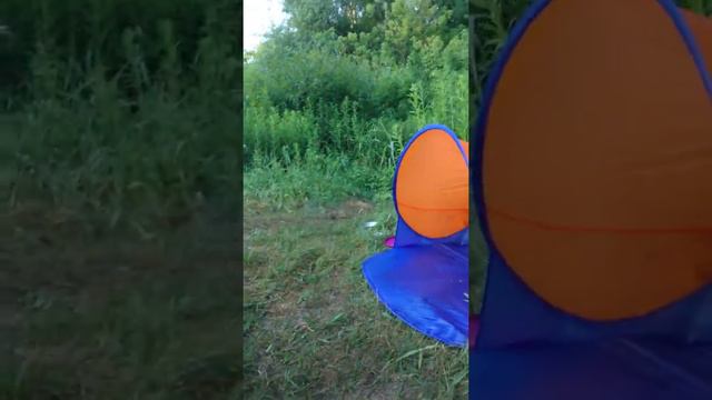 Мир прекрасный смотреть онлайн