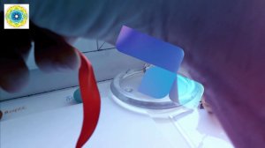 Деньги в дом!