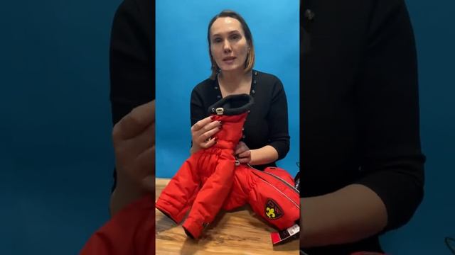 ARCTIC зимний комбинезон для собак: левретка, басенджи, АГТ, ксолоитцкуинтли, китайская хохлатая, смотреть онлайн