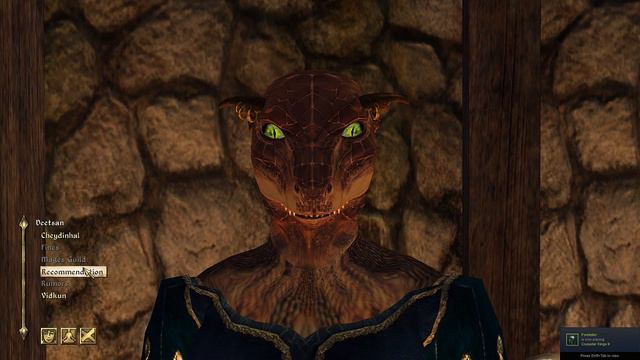 The Elder Scrolls IV: Oblivion ~ Modded Let's Play Part 18, The Lovely People of Cheydinhal смотреть онлайн