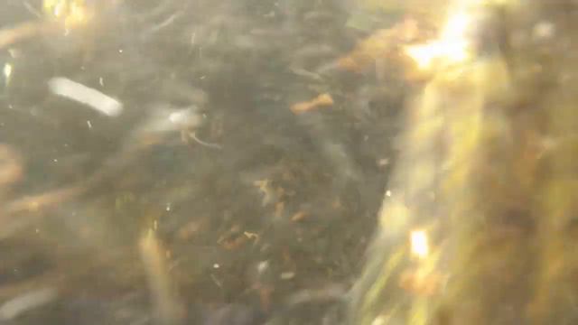 подводная охота - июль щука уха смотреть онлайн