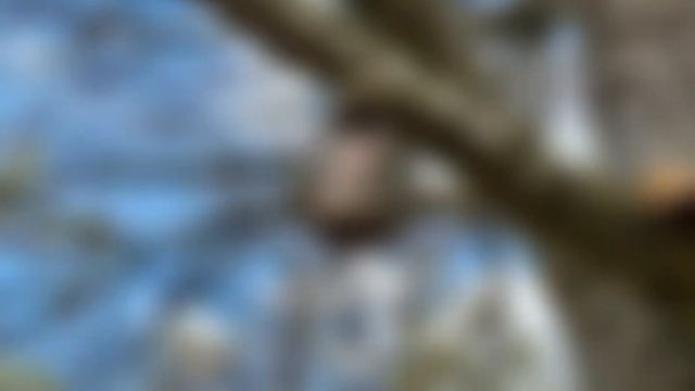 Вальхалла. Регенсбург. Пасха. 2022 смотреть онлайн