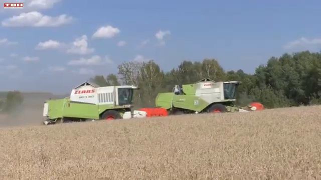 Миллион тонн зерна уже собран. смотреть онлайн