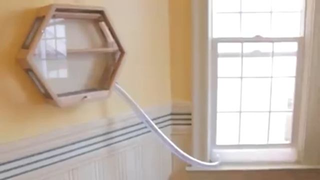 New Business Ideas 2024. Top-10 Unique Startup Business Ideas