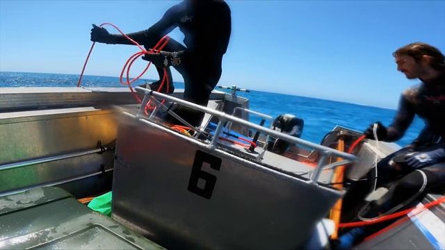 $450 Fish VS Grouper, Sharks & Sea Snake - Catch n Cook смотреть онлайн