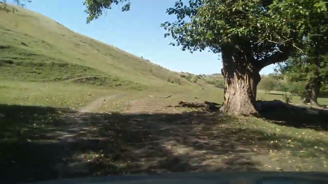 Дорога в исчезнувшую Шмидтовку (Балтайский район).