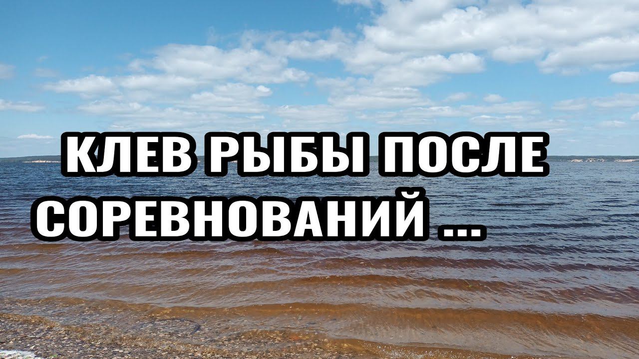 СОРЕВНОВАНИЯ ПО ФИДЕРУ. ПРОВЕРЯЕМ КЛЕВ ТРИ ДНЯ СПУСТЯ. ПОСПОРИМ ? смотреть онлайн