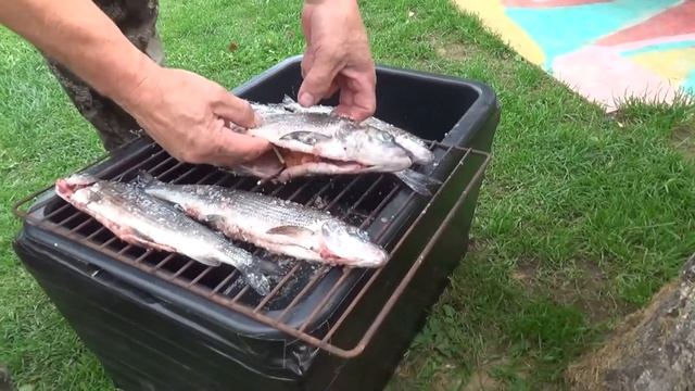 Копченый хариус. Отдых на даче в деревне. смотреть онлайн