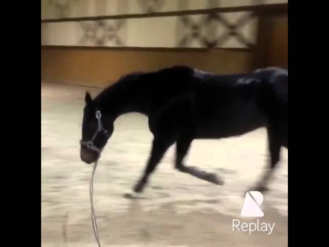 Campita ( Кампита)