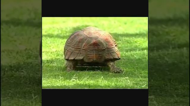 Путешествие в глубь себя-ч3 смотреть онлайн