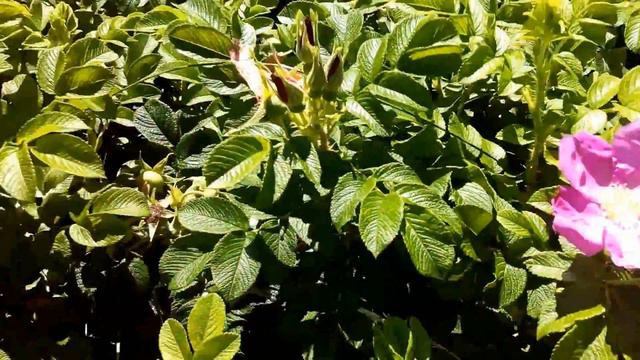 Модель и в 50 лет модель..... смотреть онлайн