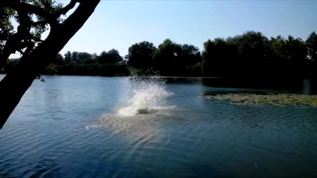 Прыжок в воду