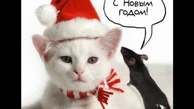 Новогодние Скатерти смотреть онлайн