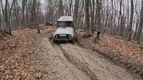 УАЗы на порталах и на UZетах устроили беспорядок в лесу