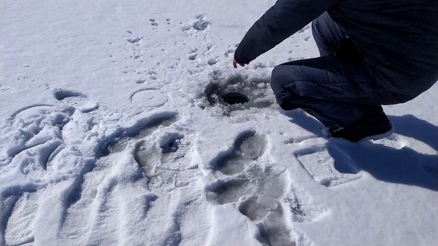 ЛОВЛЯ ЩУКИ на ЖЕРЛИЦЫ по ПОСЛЕДНЕМУ ЛЬДУ. Зимняя рыбалка на жерлицы. ЛОВИМ И ОТПУСКАЕМ!!!!!!! смотреть онлайн