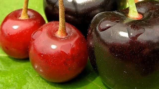 О вишне и черешне. (Садовод Андрей Туманов) смотреть онлайн