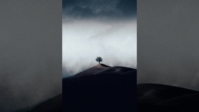 почему наши дети ленивые и не хотят учиться смотреть онлайн