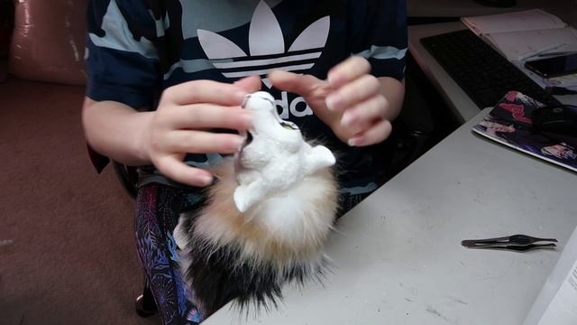 Sculpting Sitatunga And Sewing A Lion!