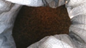 Сеем травосмесь на сено. Высев люцерны, костра, овсяницы!