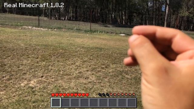 Real Life Minecraft - POTION OF HEALING смотреть онлайн