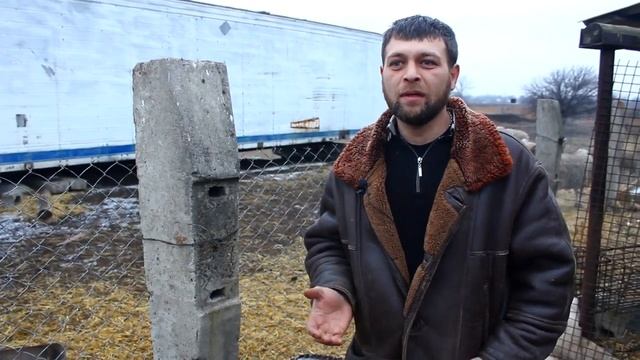 СОДЕРЖАНИЕ ОВЕЦ ЗИМОЙ ❄ // Чем кормить ОВЕЦ ЗИМОЙ // Овцы как бизнес видео смотреть онлайн