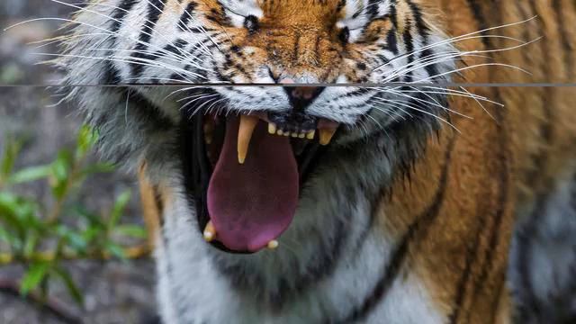 Новинки русские. От этой песни внутри становится... смотреть онлайн