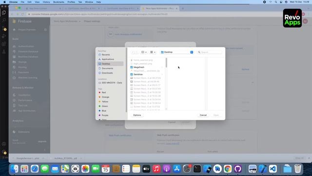 06 Setting iOS Notification in Firebase смотреть онлайн