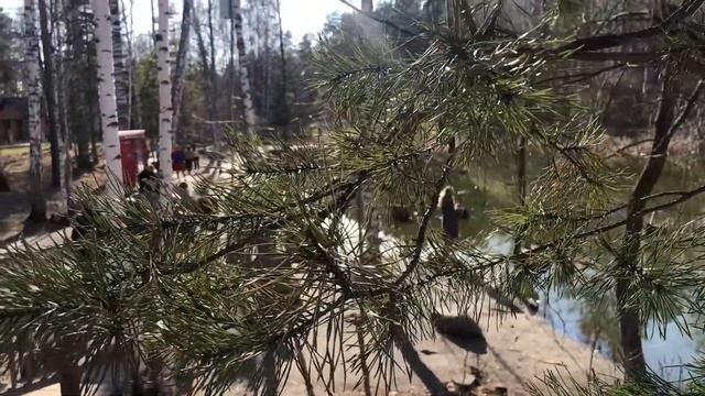 Лихачев "Письма о добром и прекрасном" | Цель в жизни | В чем смысл жизни человека| Стать счастливы смотреть онлайн