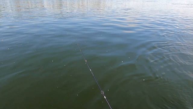 Пробую кастинговое удилище и катушку "мульт" в ловле хариуса на тирольскую палочку. смотреть онлайн