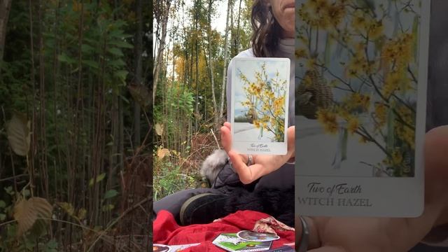 TAROT and ORACLE STORYTELLING - Saturn goes direct in Pisces - What are YOU creating for Yourself? смотреть онлайн