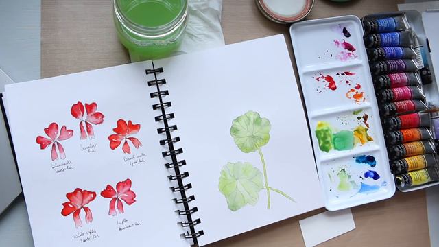 Geranium Leaf [Quick] Watercolour Illustration | Process Video смотреть онлайн