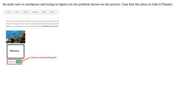 Wordpress: How to remove "Categories:" part after the post title? смотреть онлайн