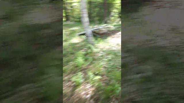 парки победы нашли странную зону где много трупов 😨 смотреть онлайн