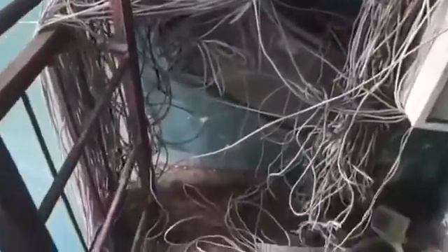 Как прокладывать слаботочку смотреть онлайн