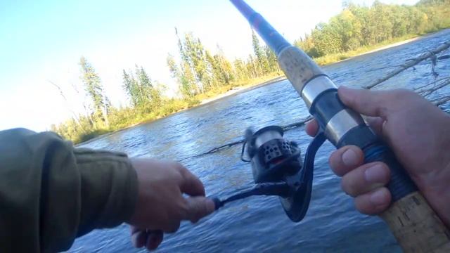 Сплав по р. Амыл ч. 1. Заброска и первый день сплава. Дикий хариус не даёт забросить снасть.... смотреть онлайн