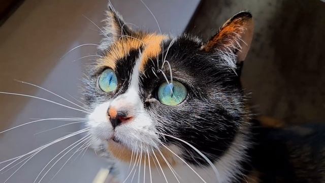 Уборка - это наша цель