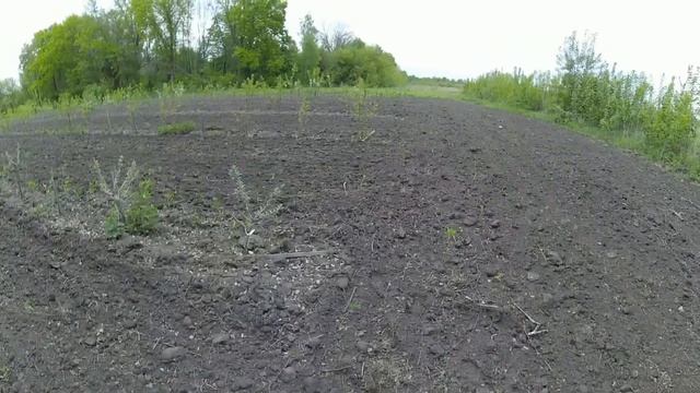 Аномальное место / Круги и рисунки на полях / Секретный потайной водоём на крайнем севере смотреть онлайн