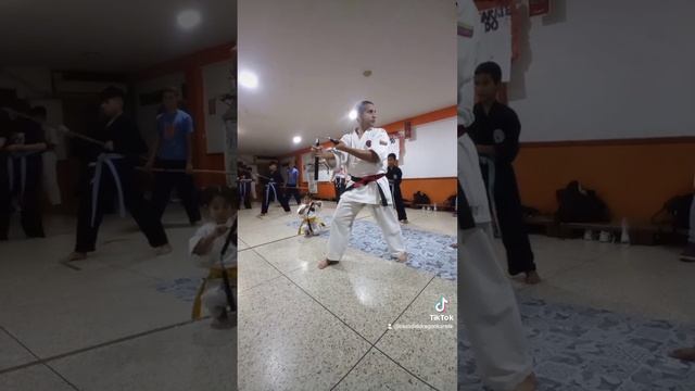 kobudo nunchaku #karate #aikido #iaido #kobudo #carabobo #venezuela #losguayos #paraparal #guacara смотреть онлайн
