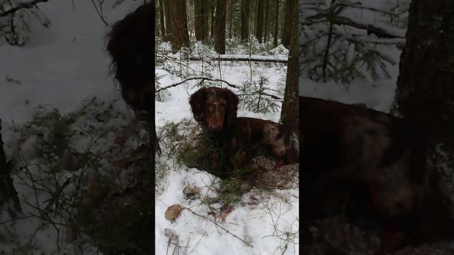 MOV 0496 смотреть онлайн