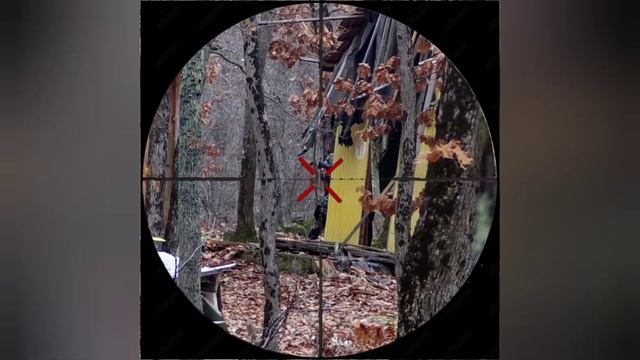 For the first time this year... смотреть онлайн