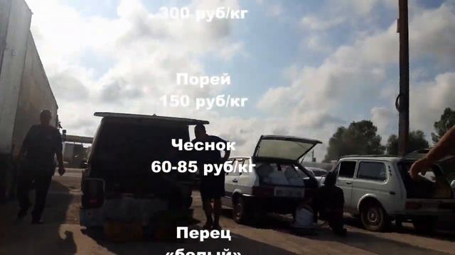 Цены на рынке сегодня Великие Копани смотреть онлайн